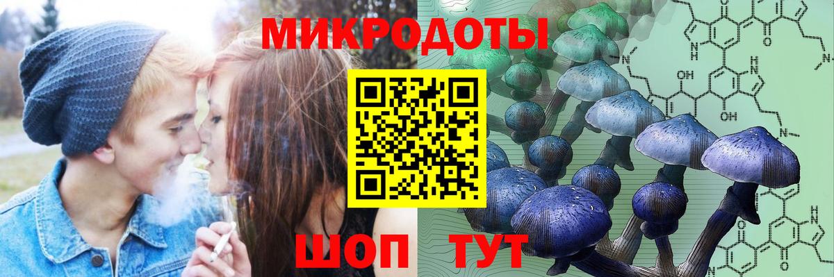 Псилоцибиновые грибы Magic Shrooms  где продают наркотики  Кирово-Чепецк  Вход с VPN 